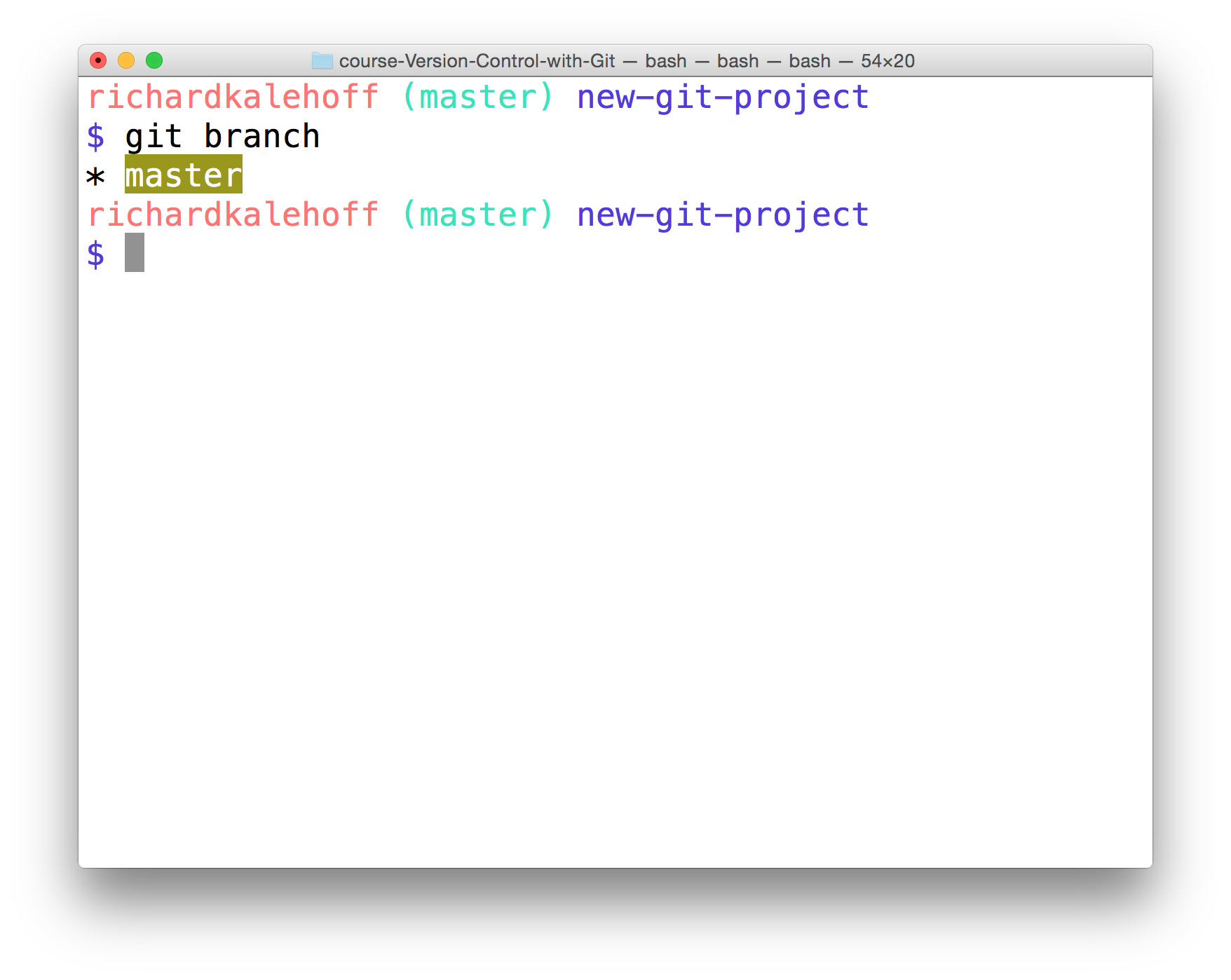 _The Terminal application showing the output of the `git branch` command. The master branch is displayed._